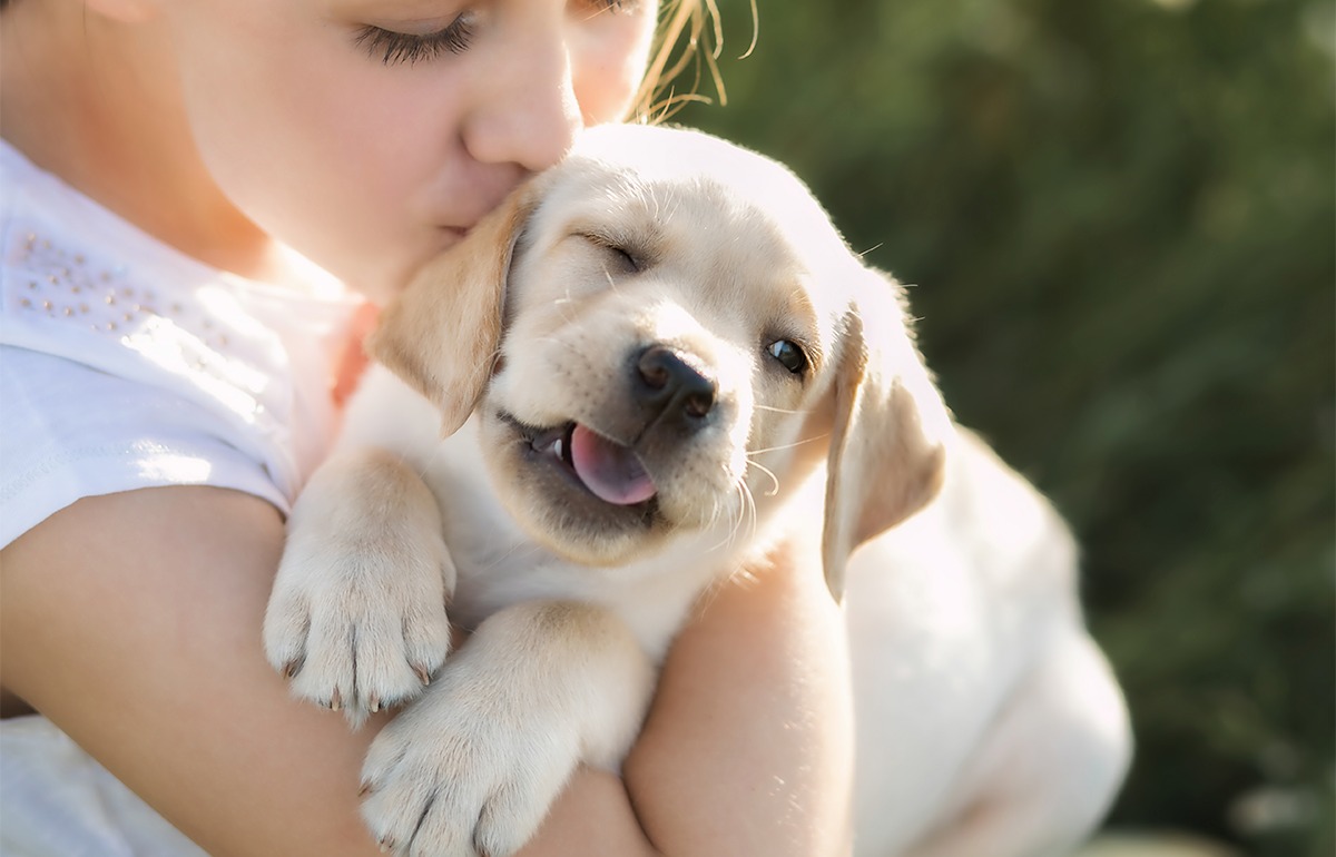 Dicas para Evitar Estresse em Pets