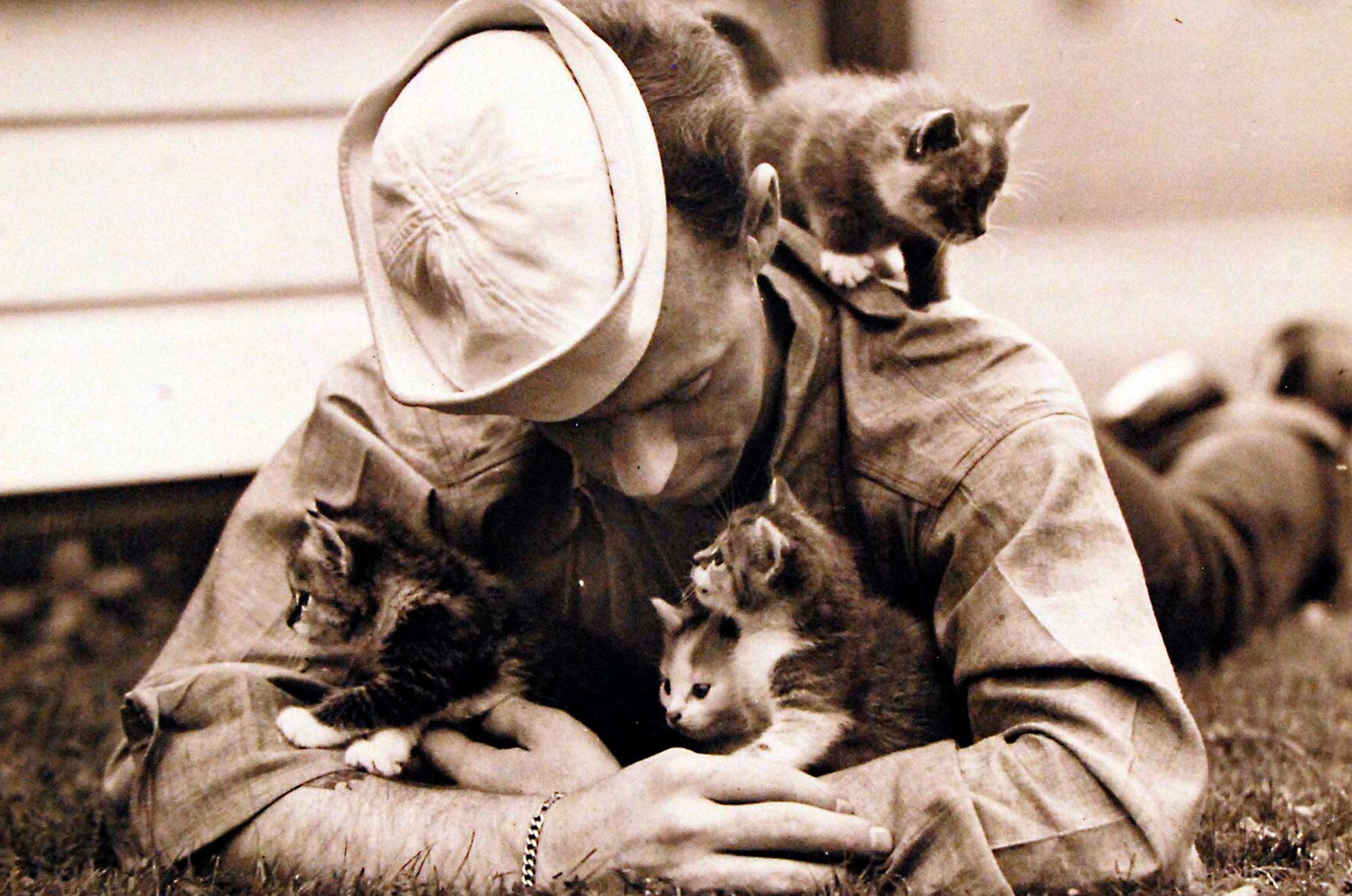 Gatos na História: A Influência dos Felinos ao Longo dos Séculos